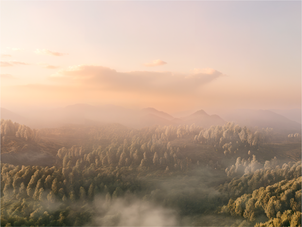 Walksnail Avatar HD Nano Kit V3_bakcgrouond